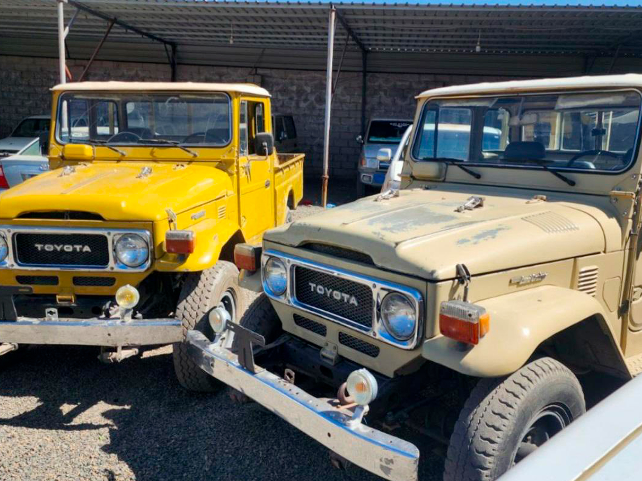 conseil achat vehicule collection